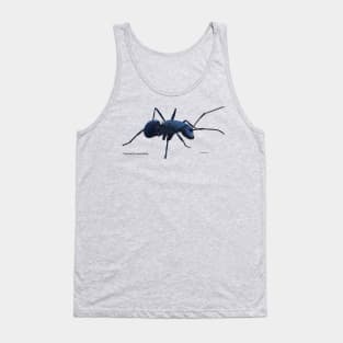 Blue ant Tank Top